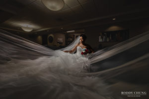 African American Bride's Dramatic Bridal Portrait